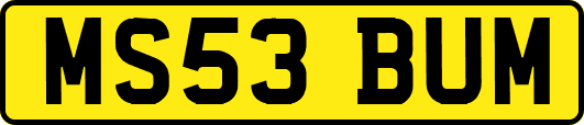 MS53BUM