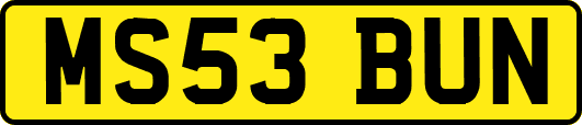 MS53BUN