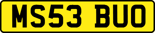 MS53BUO