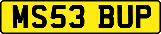 MS53BUP