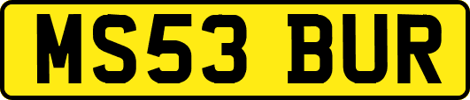 MS53BUR