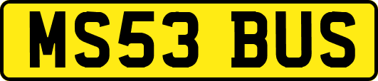 MS53BUS