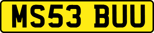 MS53BUU