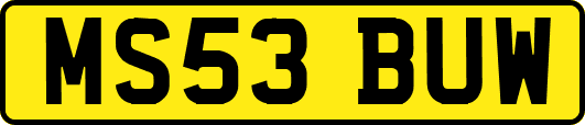MS53BUW