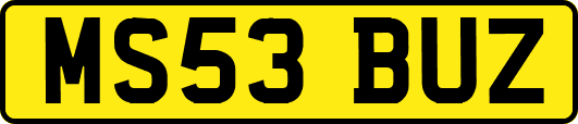 MS53BUZ