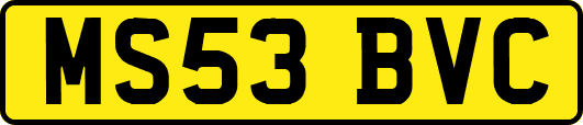 MS53BVC