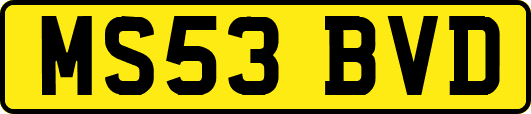 MS53BVD