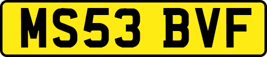 MS53BVF