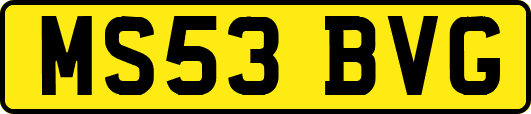 MS53BVG