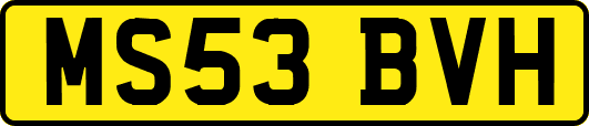 MS53BVH