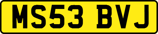 MS53BVJ