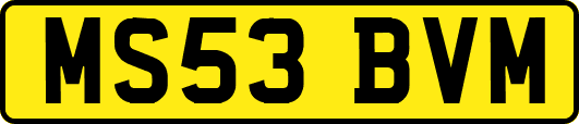 MS53BVM