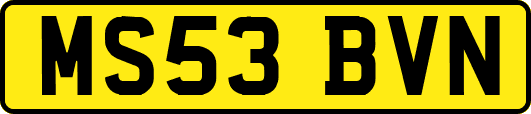 MS53BVN