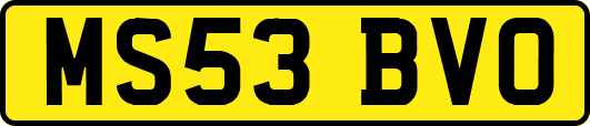 MS53BVO
