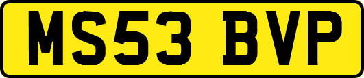MS53BVP
