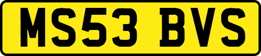MS53BVS