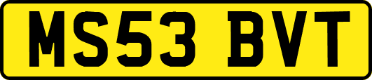 MS53BVT