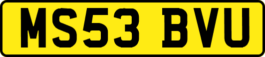 MS53BVU