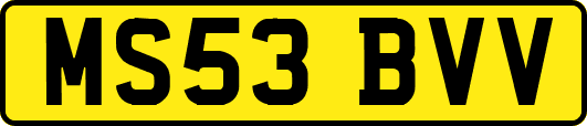MS53BVV