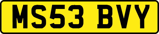 MS53BVY