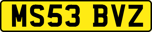 MS53BVZ