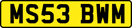 MS53BWM