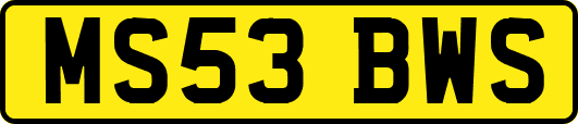 MS53BWS