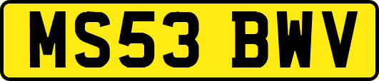 MS53BWV