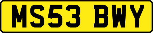 MS53BWY