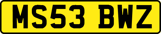MS53BWZ