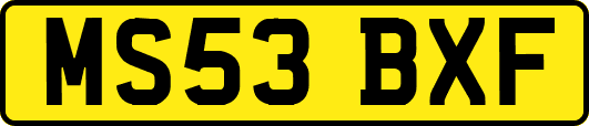 MS53BXF