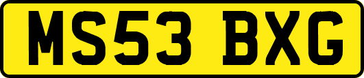 MS53BXG