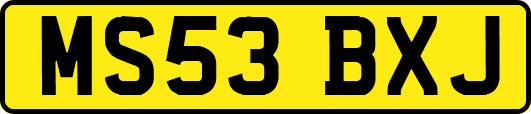 MS53BXJ
