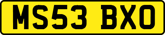 MS53BXO