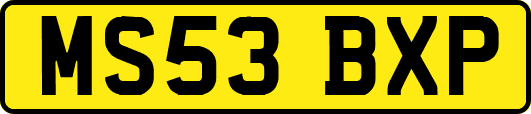 MS53BXP