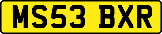 MS53BXR