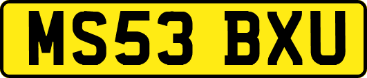 MS53BXU