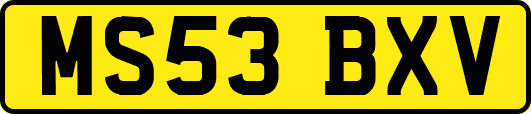 MS53BXV