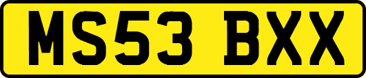 MS53BXX