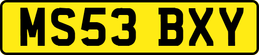 MS53BXY