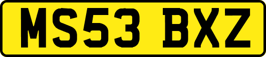 MS53BXZ