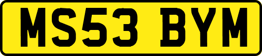 MS53BYM