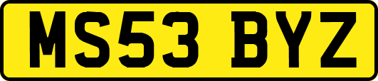 MS53BYZ