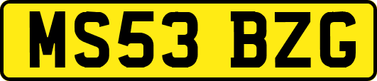 MS53BZG