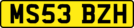 MS53BZH