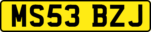 MS53BZJ