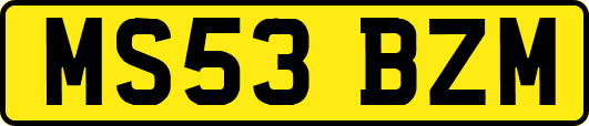MS53BZM