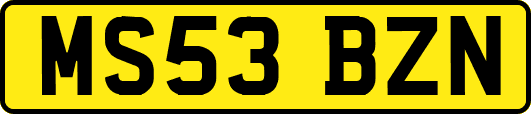 MS53BZN