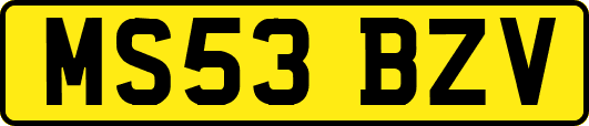 MS53BZV