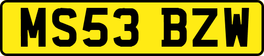 MS53BZW